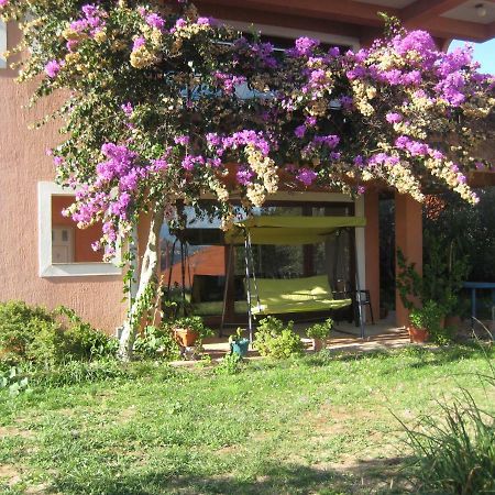Apartman Lavanda カリ エクステリア 写真