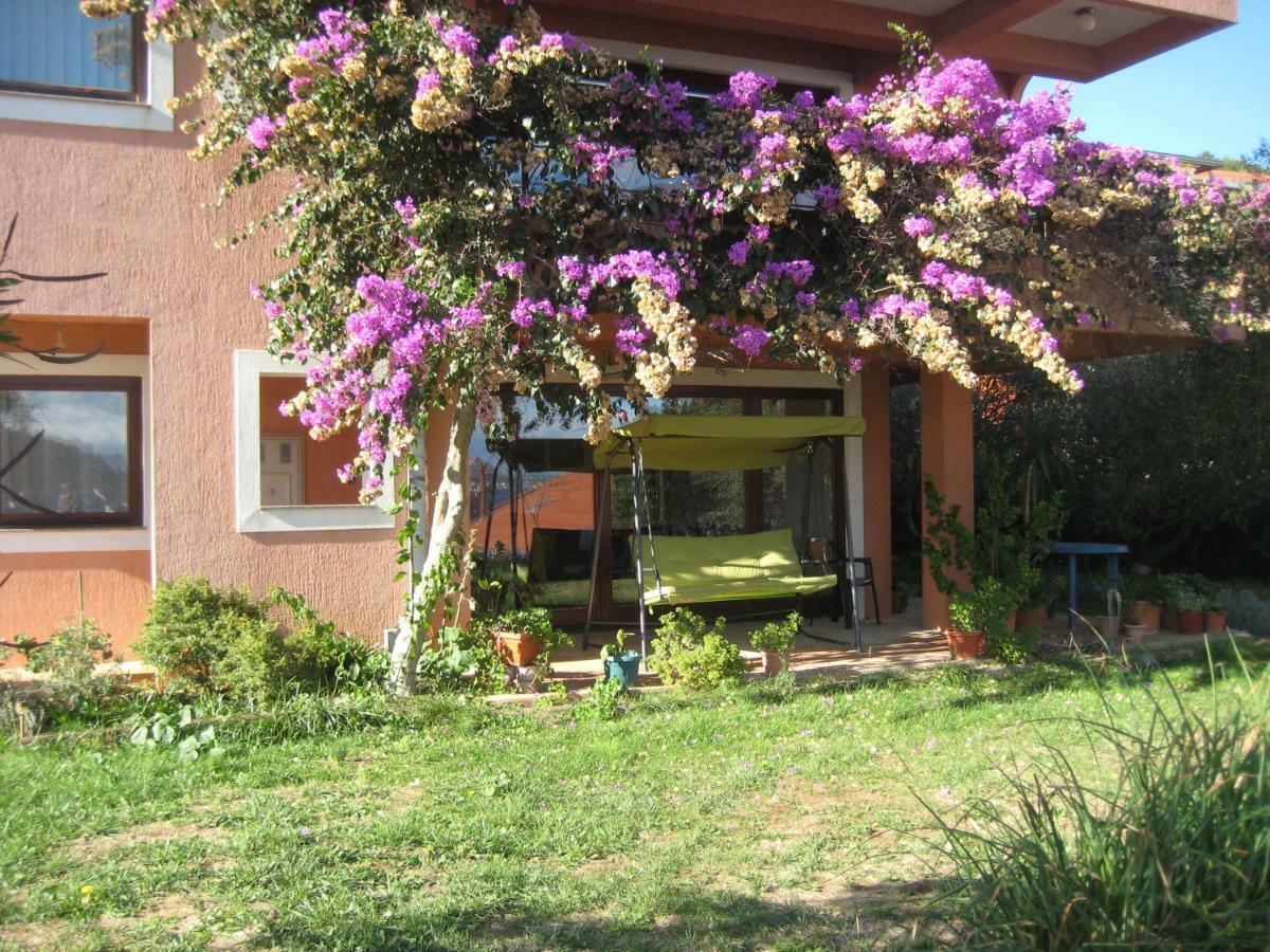 Apartman Lavanda カリ エクステリア 写真
